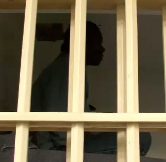 Freiheit hinter Gittern